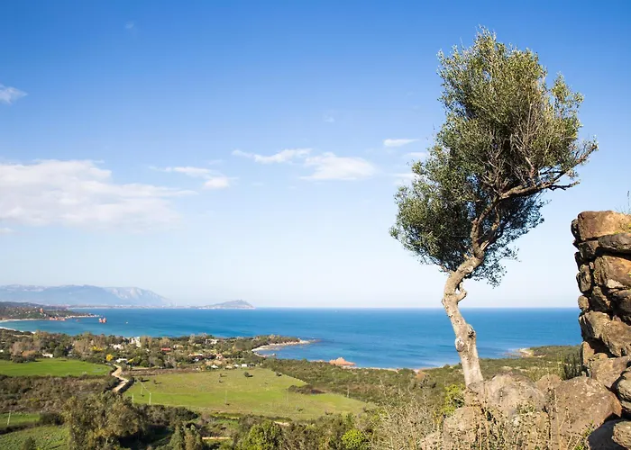 Casetta Al Mare 公寓 *